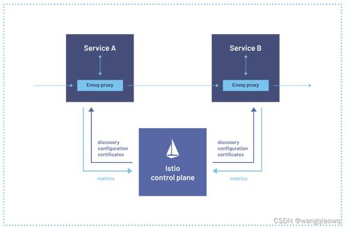 Istio學習筆記 服務網格在信息系統(tǒng)運行維護服務中的應用與實踐